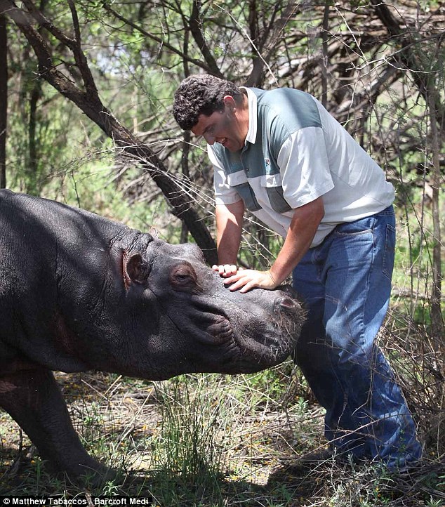 Marius Els with his pet hippo Humphrey at his farm in Free State, South Africa